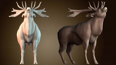 3D model STKJ_7934 (STL)