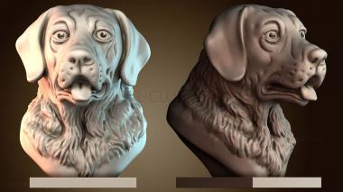 3D model STKJ_7939 (STL)