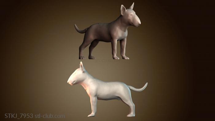 Статуэтки животных STKJ_7953