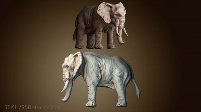 Статуэтки животных STKJ_7958