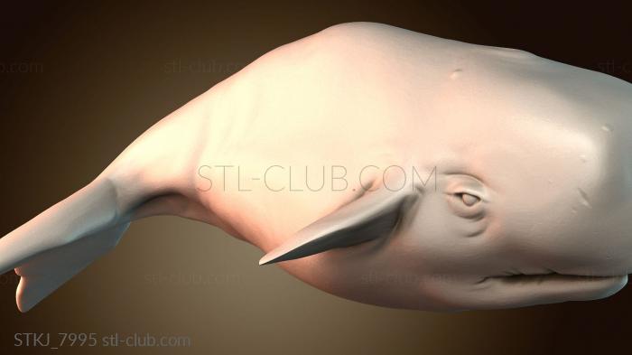 Статуэтки животных STKJ_7995