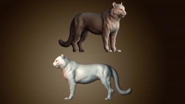 3D модель STKJ_8027 (STL)