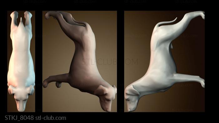 Статуэтки животных STKJ_8048