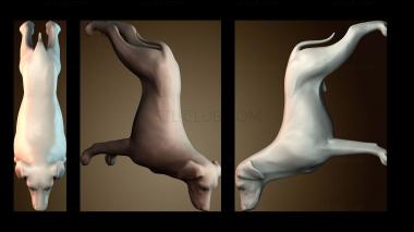 3D модель STKJ_8048 (STL)