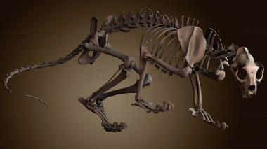 3D мадэль STKJ_8153 (STL)