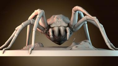 3D model Spider - complete (STL)