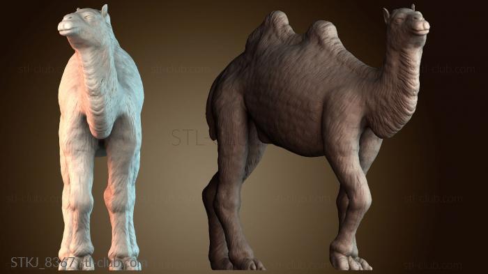 Статуэтки животных STKJ_8367