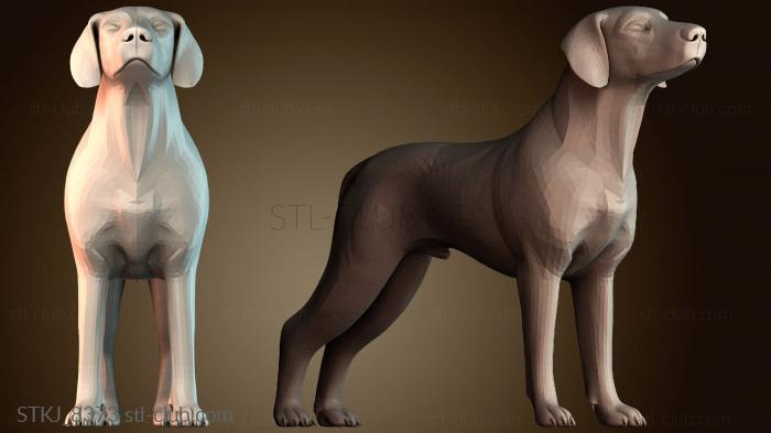 Статуэтки животных STKJ_8373