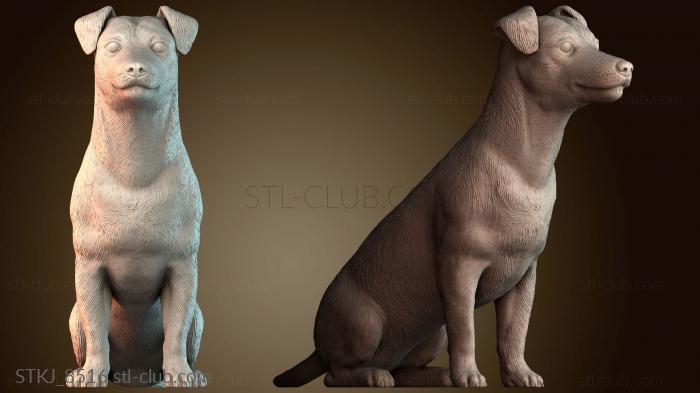 Статуэтки животных STKJ_8516