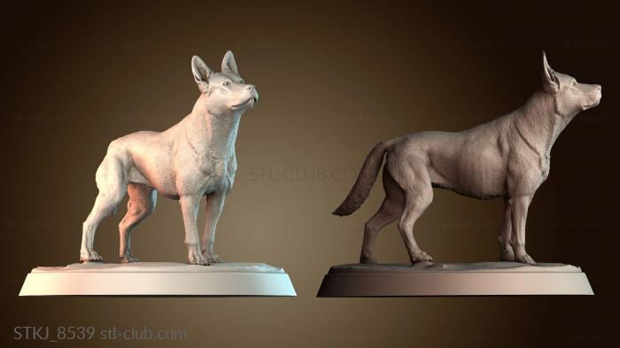 Статуэтки животных STKJ_8539
