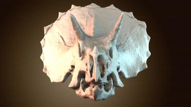 3D модель STKJ_8576 (STL)