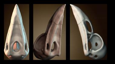 3D model STKJ_8599 (STL)