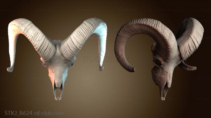 Статуэтки животных STKJ_8624