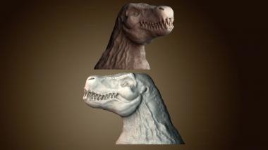 3D модель STKJ_8643 (STL)