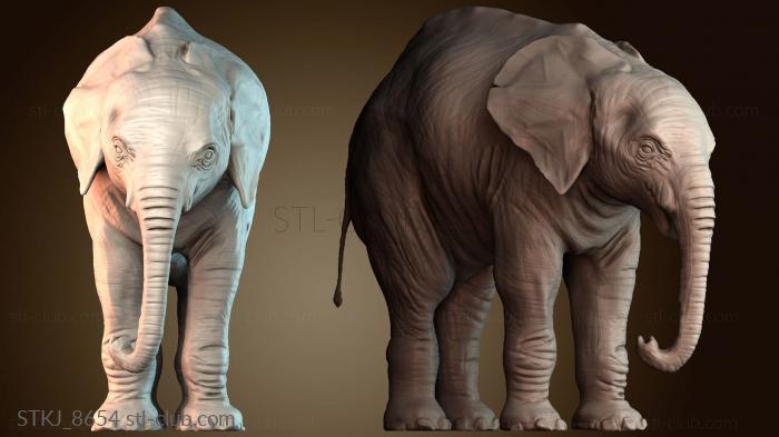 Статуэтки животных STKJ_8654