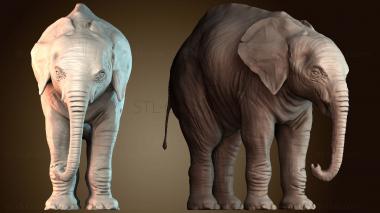 3D мадэль STKJ_8654 (STL)