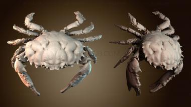 3D model STKJ_8742 (STL)