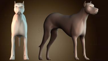 3D модель STKJ_8748 (STL)