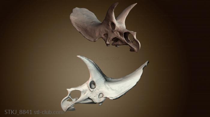 Статуэтки животных STKJ_8841