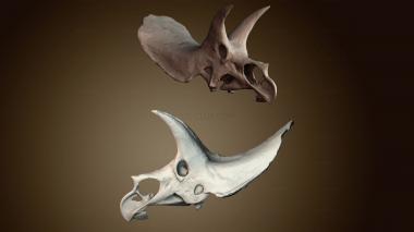 3D модель STKJ_8841 (STL)