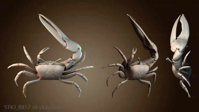 Статуэтки животных STKJ_8857