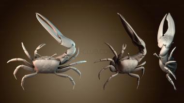 3D model Fiddler crab (STL)