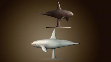 3D model Killer Whale (STL)