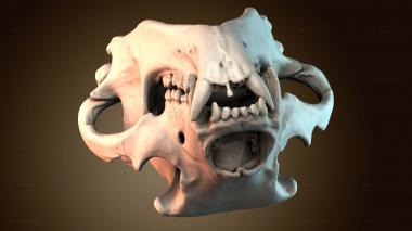 3D model Grizzly bear skull (STL)