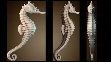 3D model Seahorse Earrings (STL)
