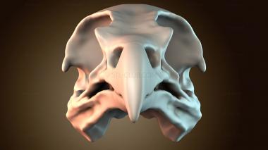 3D модель STKJ_8910 (STL)