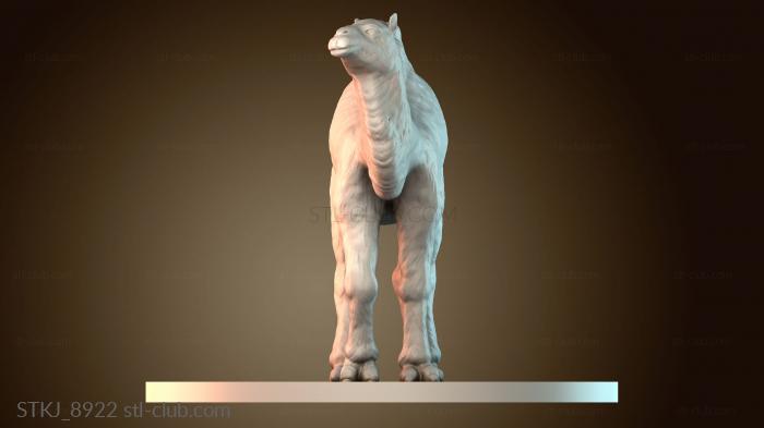 Статуэтки животных STKJ_8922