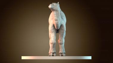 3D model STKJ_8922 (STL)