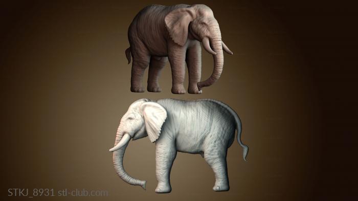 Статуэтки животных STKJ_8931