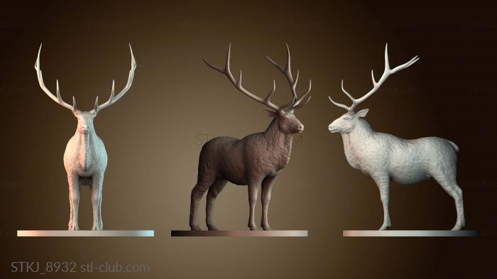 Статуэтки животных STKJ_8932