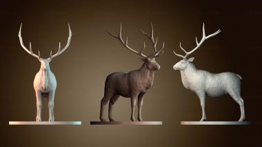 3D мадэль STKJ_8932 (STL)