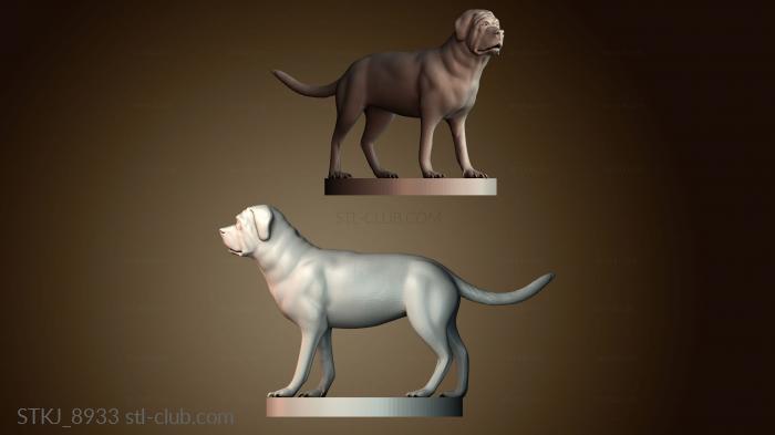 Статуэтки животных STKJ_8933