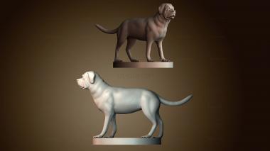 3D модель STKJ_8933 (STL)