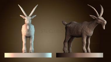 3D model STKJ_8937 (STL)