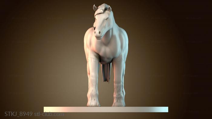 Статуэтки животных STKJ_8949