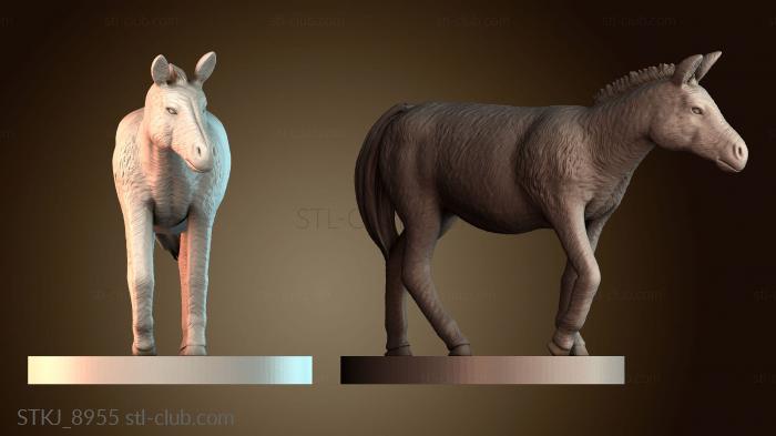 Статуэтки животных STKJ_8955