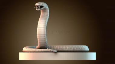 3D мадэль STKJ_8960 (STL)