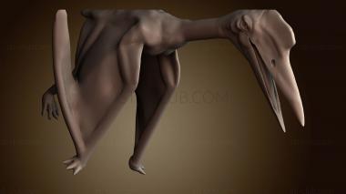 3D model STKJ_8995 (STL)