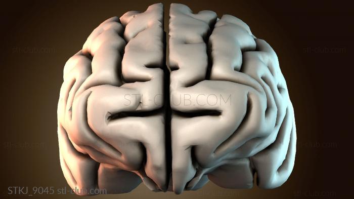 Статуэтки животных STKJ_9045