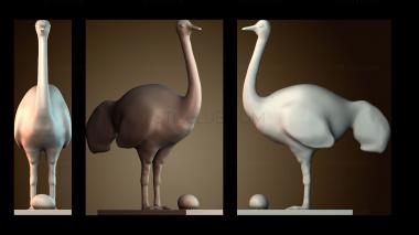 3D model STKJ_9060 (STL)