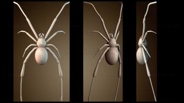 3D мадэль STKJ_9160 (STL)