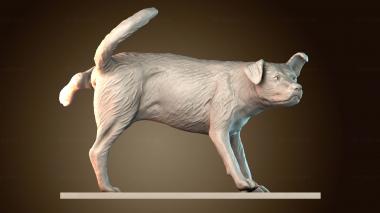 3D модель STKJ_9166 (STL)