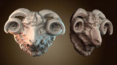 3D model STKJ_9169 (STL)