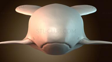 3D модель STKJ_9209 (STL)