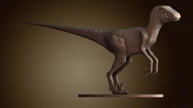 3D model Velociraptor dinosaur (STL)
