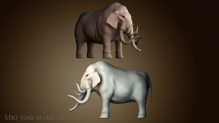 Статуэтки животных STKJ_9268